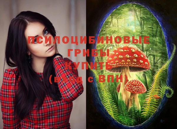 круглые Вяземский