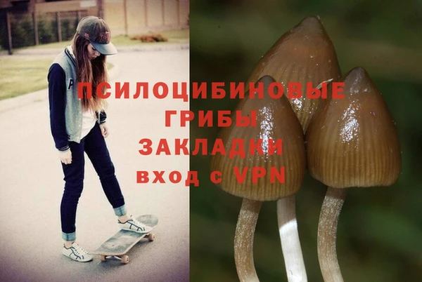 круглые Вяземский
