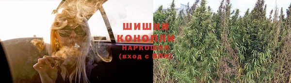 круглые Вяземский